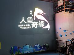 -泉城欧乐堡海洋极地世界