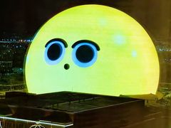 -拉斯维加斯永利酒店