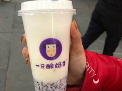 -一只酸奶牛(八一路店)