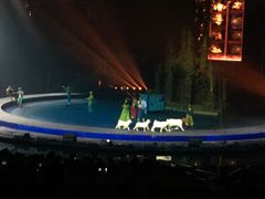 -广州长隆国际大马戏
