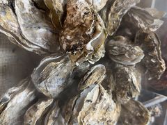 -福禧荟·海鲜自助