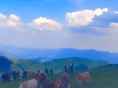 -灵山