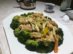 西兰花炒鲜鱿-荔枝楼酒家(员村东璟店)