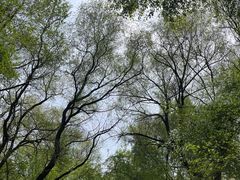 -北陵公园
