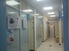-全心全意连锁动物医院·微创中心·内科急重症·心脏专科(丰管路店)
