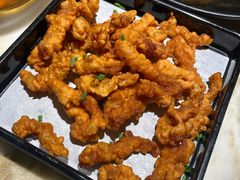 -佬肥猫(国华广场店)