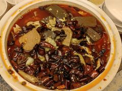 -香厨中餐厅(松北香格里拉店)