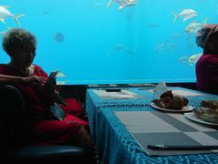 -瑞德姆美人鱼海底演艺主题餐厅(亚龙湾店)