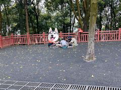 -黄埔油麻山森林公园