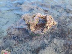 -三亚西岛海洋文化旅游区