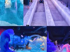 -海合安成都极地海洋公园