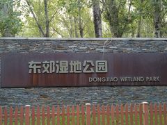 -东郊湿地公园