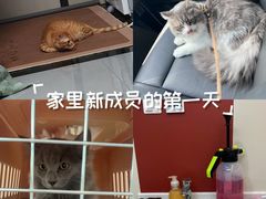 -御宝贝24h宠物医院·转诊中心·CT核磁血透中心(厦门总院)