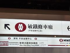 -敏华冰厅(平安金融中心店)