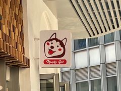 -Husky Go!哈士奇体验馆·宠物咖啡厅狗咖