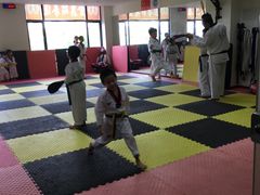 -金翼跆拳道巴西柔术拳击格斗学院