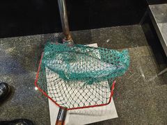 -渔文乐·海鲜大排档(壹品总店)