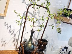 -茶是一枝花泡茶店