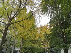 -四川大学(华西校区)