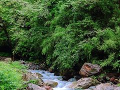 -西岭雪山大飞水景区