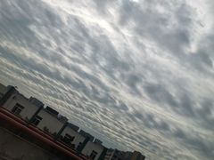 -戴旺子(蒲江)