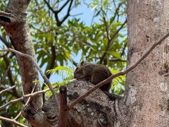 -白沙门生态公园