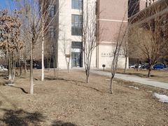 -吉林大学(前卫南区)