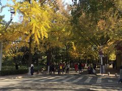 -八大关景区