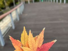 -琅岐红光湖公园