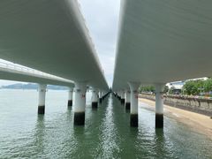 -演武大桥观景平台