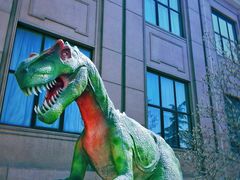 -国家自然博物馆