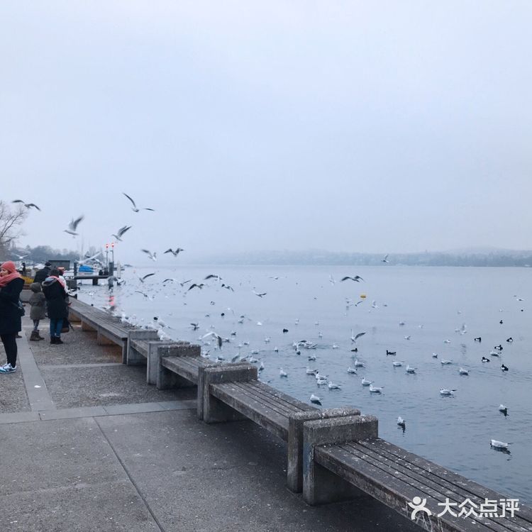 瑞士🇨🇭苏黎世——班霍夫大街