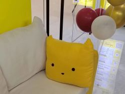 -洗脸猫·洗脸吧