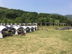 -龙寺生态园