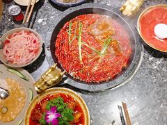 -蜀大侠火锅(建设路第五大道店)