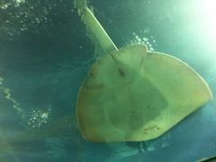 -福州罗源湾海洋世界旅游区