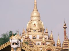 -莫里热带雨林景区