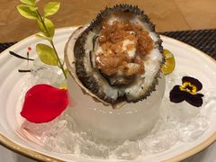-和·铁板烧·OMAKASE(望京昆泰嘉晟酒店)