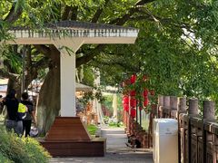 -成都市活水公园