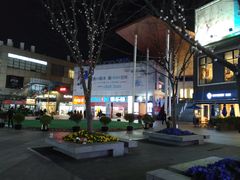 -证大大拇指广场(芳甸路店)