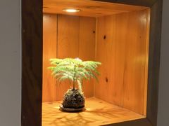-鸥迪足道(湖南示范店)