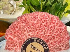 -喜聚薈·花膠雞海鮮火鍋(越秀店)