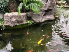 -汤山翠谷生态餐厅