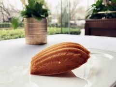 玛德琳-福楼法餐厅FLO