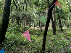 -上海佘山国家森林公园天马山园