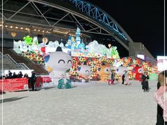 -沈阳奥体冰雪嘉年华