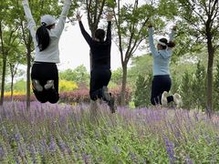 -北运河水利风景区