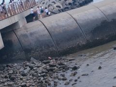 -东疆建设开发纪念公园