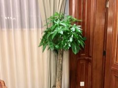 -梦都海鲜酒家(万达广场江桥店)