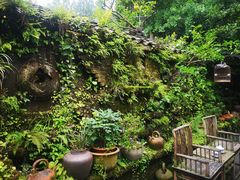 -青城甲(青城山店)